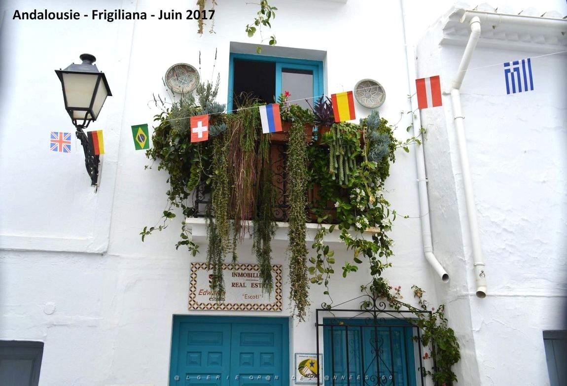 598 - Frigiliana.JPG